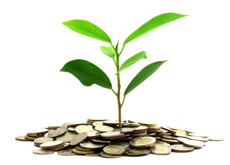 Инвестиции SKF в сохранение экологии | Свежие новости в Владивостоке