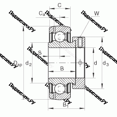 Подшипник GRAE 45-NPP-B